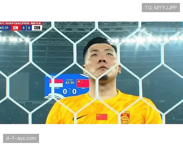 国足状态回暖迎战世预赛，球迷期待再创佳绩